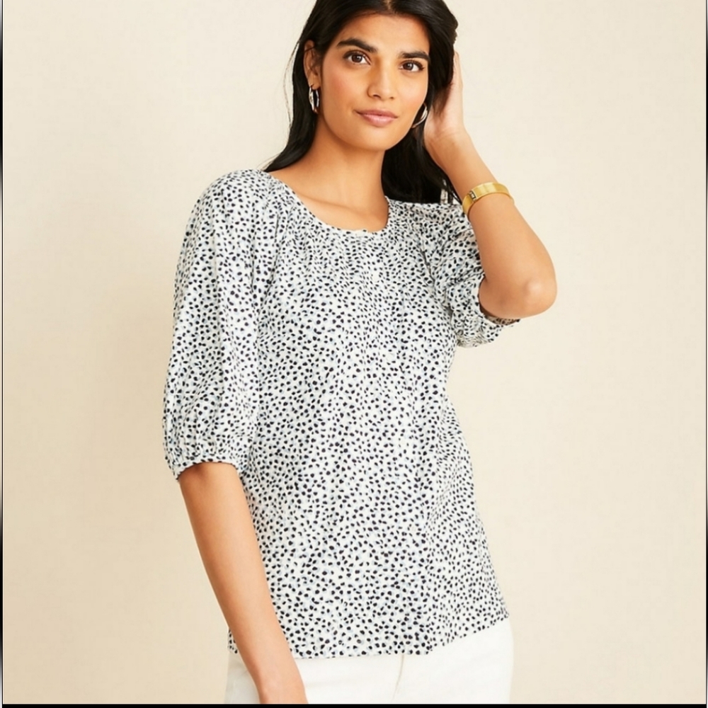 NWT Ann Taylor Top
